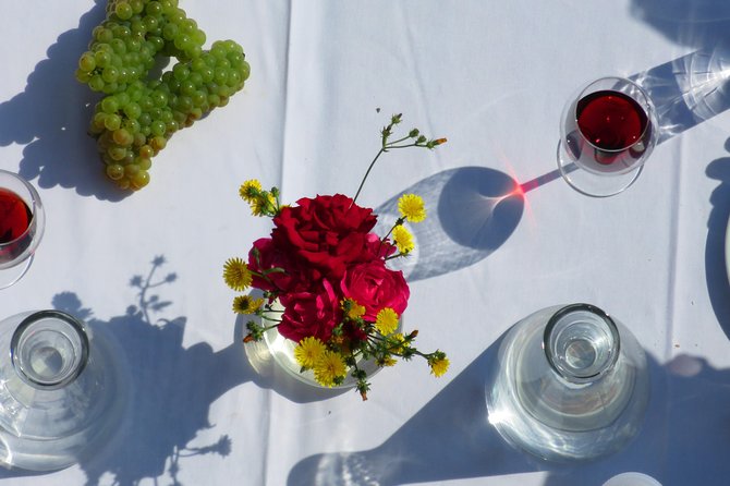 The wine route by bike - Stop 1: Bellu Manor museum visit (why it’s a smart warm-up)