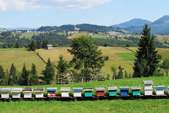 The wine route by bike - What’s included (and what that means for value)