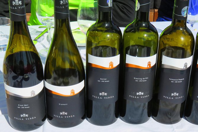 The wine route by bike - Who this tour suits best