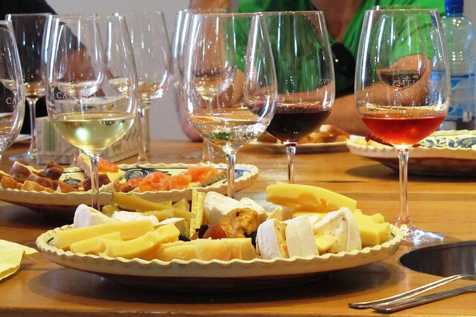 The wine route by bike - The bike ride: paved roads, optional gravel, and how the day flows