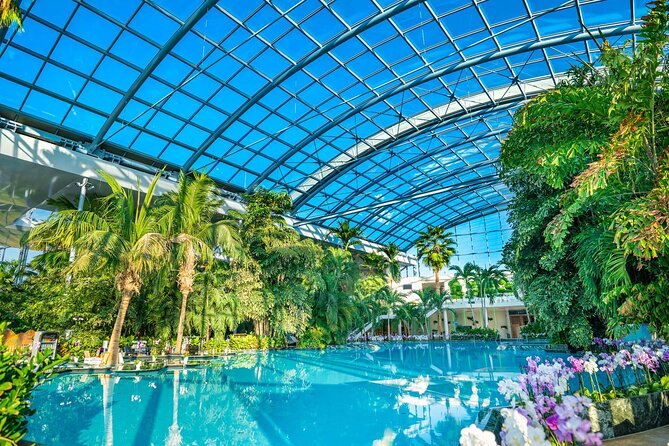 Therme Bucuresti: Entry Ticket and Transfer - Therme Bucuresti half-day access: what you’re really paying for