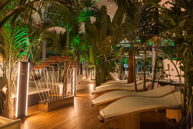 Therme:Spa Day at the biggest oasis of Relaxation《Bucharest》 - Inside Therme Bucharest: botanical calm, palms and orchids, and massive plant life