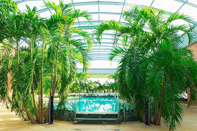 Therme Spa Ultimate Experience | Transfer - Full Access All Areas - Price and value: is $59 a smart deal with transfer?