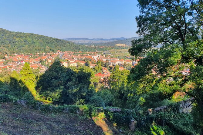 Tour of Bran CASTLE + Peles Castle + Brasov City from Bucharest - Private TOUR - Guide Style: How the Best Ones Make Bran, Peles, and Brasov Click