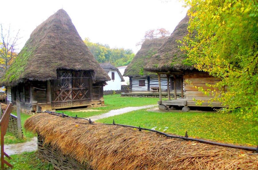 Traditions in Bucharest: Village Museum and Wine Tasting - The Dimitrie Gusti National Village Museum: architecture as a storybook