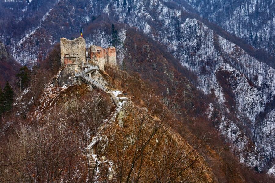Transfagarasan Road Trip - Bears and wildlife: exciting, but don’t treat it like a guarantee