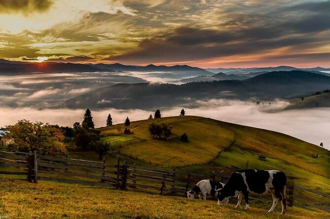 Transfer Bucharest -Brasov with Targoviste and Bran Castle visits - What kind of traveler should book this?
