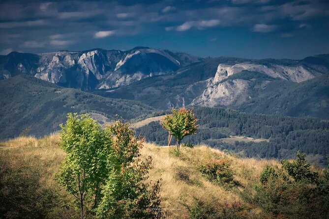 Transfer Bucharest -Brasov with Targoviste and Bran Castle visits - Should you book this Transylvania transfer with castles?