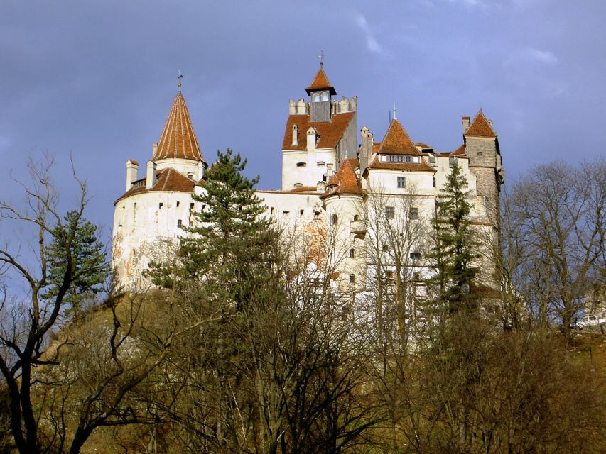 Transylvania: Cultural Full-Day Trip by Minivan - Brasov’s old town walk: Council Square, fortifications, and the Black Church