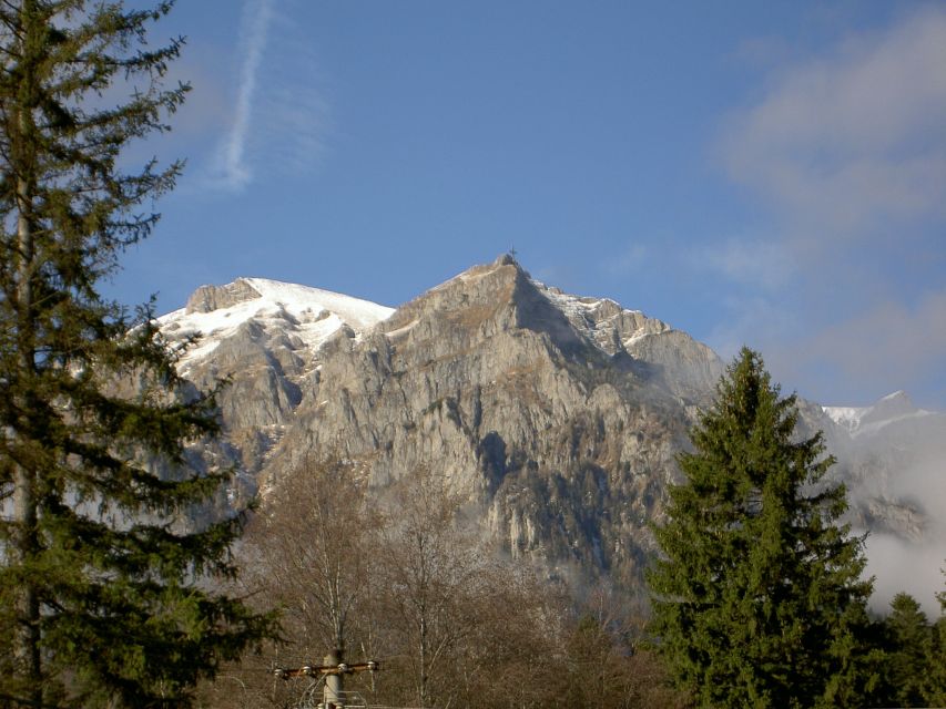 Transylvania: Cultural Full-Day Trip by Minivan - Sinaia and Peles Castle: where royal architecture meets fast, guided momentum