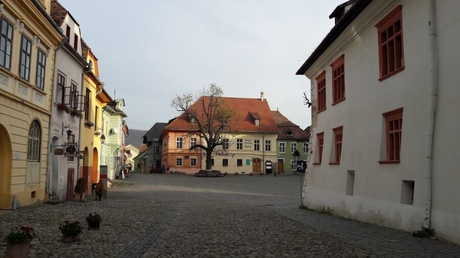 Transylvania: Dracula's Castle and Birthplace Tour - Key things that make this tour worth your day