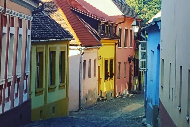 Transylvania Region In-Depth (5 Days Private Tour from Bucharest) - Day 4: Roman ruins at Ulpia Traiana Sarmizegetusa and Sibiu’s culture focus