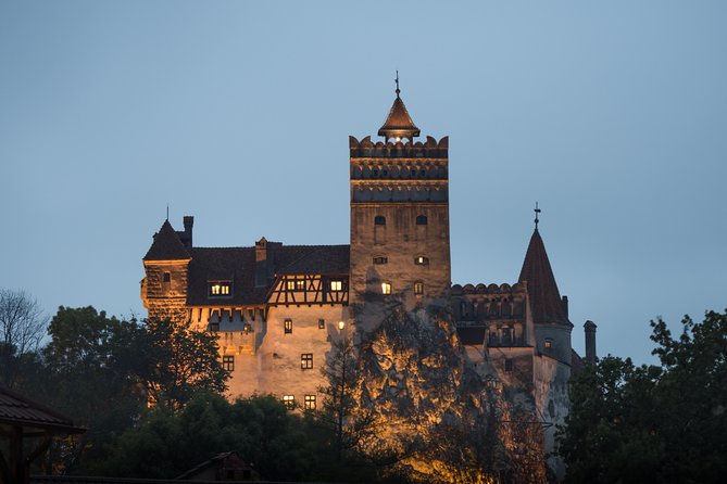 Transylvania with Dracula Castle, Bear Sanctuary and Brasov - A 7:30 am day trip that links vampire sights, real wildlife, and medieval Brasov