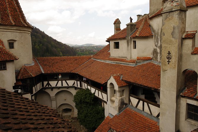 Transylvania with Dracula Castle, Bear Sanctuary and Brasov - Bran Castle: how to enjoy Dracula’s Castle without feeling trapped by crowds