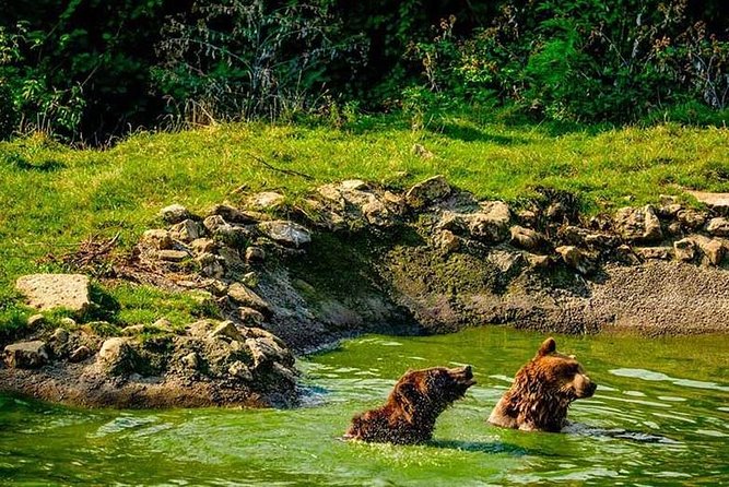 Transylvania with Dracula Castle, Bear Sanctuary and Brasov - Who this tour fits best, and who should think twice