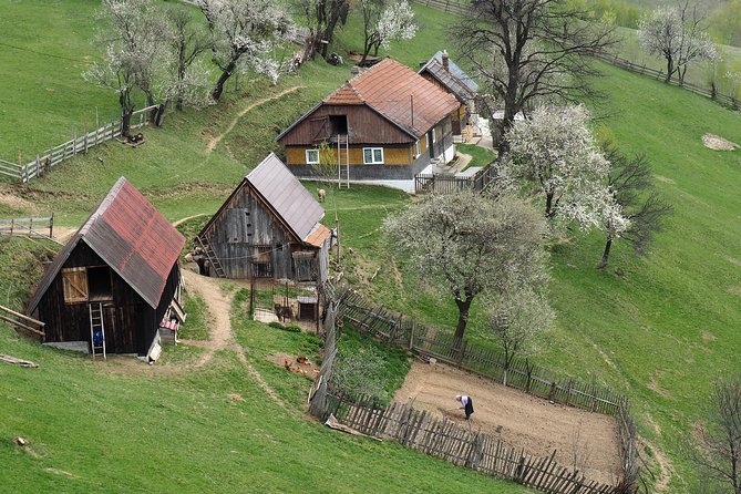 Village life in Transylvanian Carpathian mountains - 8 days - Key highlights to look for