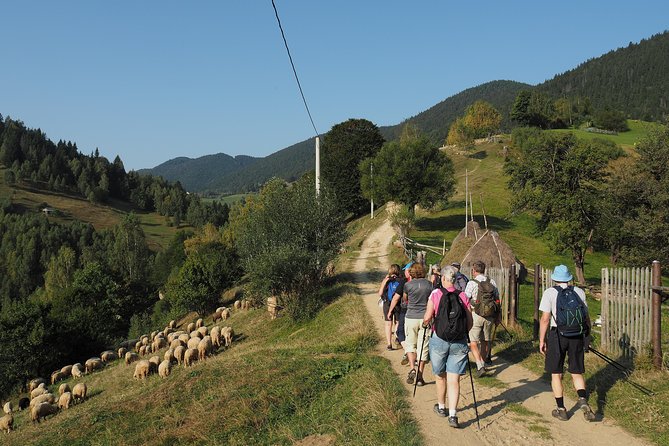 Village life in Transylvanian Carpathian mountains - 8 days - Old villages under your feet: Fundata, Fundățica, and meeting locals