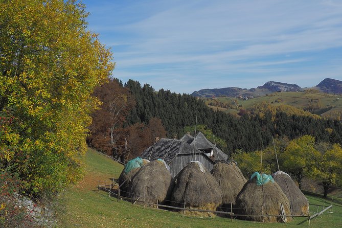 Village life in Transylvanian Carpathian mountains - 8 days - Seven Ladders Canyon: metal stairs, waterfalls, and a good payoff