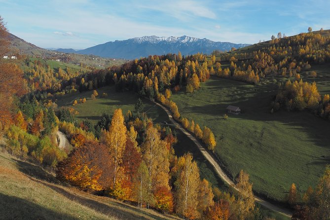 Village life in Transylvanian Carpathian mountains - 8 days - Price and value: what you’re actually paying for