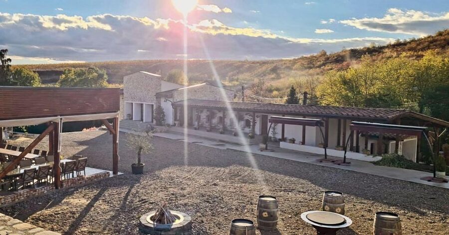 Winery touring & private wine tasting - one day private tour - First tastings at a modern winery: a warm-up that makes the rest click
